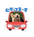 柚桃スタンプ（個別スタンプ：26）