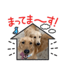 柚桃スタンプ（個別スタンプ：31）