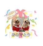 柚桃スタンプ（個別スタンプ：36）