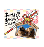 柚桃スタンプ（個別スタンプ：39）