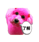 ちーむまっつん1st（個別スタンプ：20）