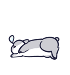 はいいろうさこ（個別スタンプ：12）