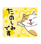 Junsねこ春のご挨拶（個別スタンプ：20）