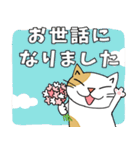 Junsねこ春のご挨拶（個別スタンプ：37）