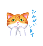 シロチャときどきサバトラ（個別スタンプ：3）