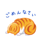 シロチャときどきサバトラ（個別スタンプ：7）