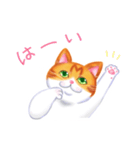 シロチャときどきサバトラ（個別スタンプ：9）