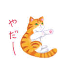 シロチャときどきサバトラ（個別スタンプ：10）