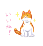 シロチャときどきサバトラ（個別スタンプ：12）