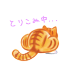 シロチャときどきサバトラ（個別スタンプ：13）