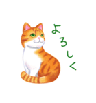 シロチャときどきサバトラ（個別スタンプ：15）