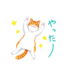 シロチャときどきサバトラ（個別スタンプ：17）