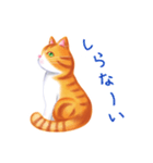 シロチャときどきサバトラ（個別スタンプ：20）