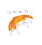 シロチャときどきサバトラ（個別スタンプ：22）
