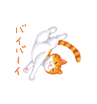 シロチャときどきサバトラ（個別スタンプ：23）