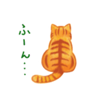 シロチャときどきサバトラ（個別スタンプ：26）