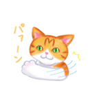シロチャときどきサバトラ（個別スタンプ：30）