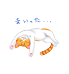 シロチャときどきサバトラ（個別スタンプ：34）