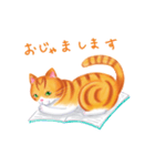 シロチャときどきサバトラ（個別スタンプ：35）