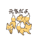腹ぺこなきつねさん（個別スタンプ：13）