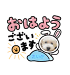 愛犬えいとスタンプ②（個別スタンプ：1）