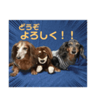 ご近所いぬ（個別スタンプ：18）