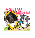 ご近所いぬ（個別スタンプ：20）