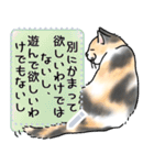 猫様は尊い。[メッセージ]（個別スタンプ：11）