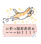 猫様は尊い。[メッセージ]（個別スタンプ：18）