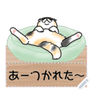 猫様は尊い。[メッセージ]（個別スタンプ：23）