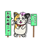 カトレアと三毛猫(オス)（個別スタンプ：11）