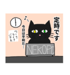 ねこねこの普段使い2（個別スタンプ：11）