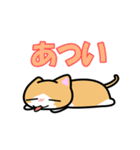 【猫堂】にゃんこのあいさつ（個別スタンプ：31）