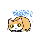 【猫堂】にゃんこのあいさつ（個別スタンプ：32）