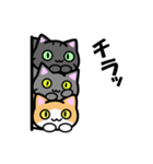 【猫堂】にゃんこのあいさつ（個別スタンプ：40）