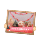 うさカフェりびと仲間たち②（個別スタンプ：6）