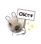 うさカフェりびと仲間たち②（個別スタンプ：8）