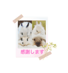 うさカフェりびと仲間たち②（個別スタンプ：10）