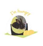 うさカフェりびと仲間たち②（個別スタンプ：14）