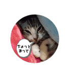 リモちゃん4（個別スタンプ：2）