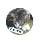 リモちゃん4（個別スタンプ：3）