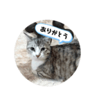 リモちゃん4（個別スタンプ：9）