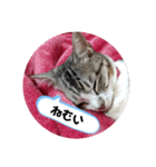リモちゃん4（個別スタンプ：10）