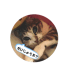 リモちゃん4（個別スタンプ：11）
