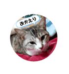 リモちゃん4（個別スタンプ：22）