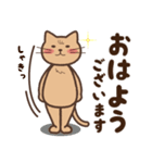 ぽたねこ（個別スタンプ：1）