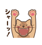 ぽたねこ（個別スタンプ：39）