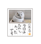 いつでも使えるふくみスタンプ（個別スタンプ：21）