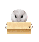 いつでも使えるふくみスタンプ（個別スタンプ：27）