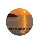 春Photo（個別スタンプ：7）